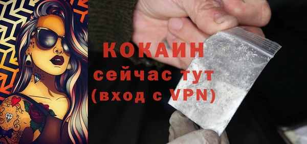 мдпв Лабытнанги
